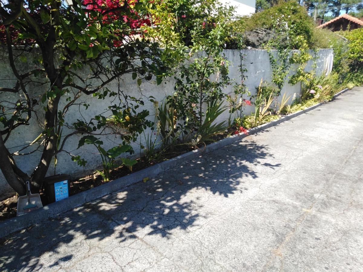Cabedelo Seaside Guesthouse Βιάνα ντο Καστέλο Εξωτερικό φωτογραφία